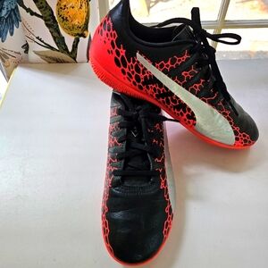 Puma Evo Power 4 Soccer / Futsal Shoes.